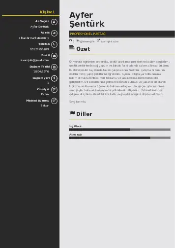 Pastacı Cv Örnekleri cv indir